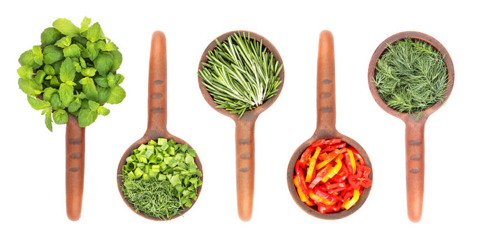 Fresh flavoring herbs and spices in ceramic scoop