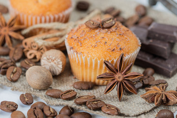 Cupcakes with chocolate chips