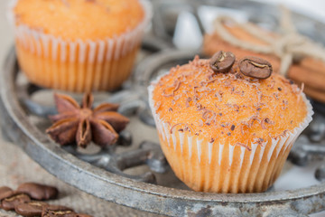 Cupcakes with chocolate chips