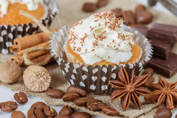 Cupcakes with chocolate chips