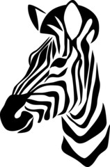 zebra head