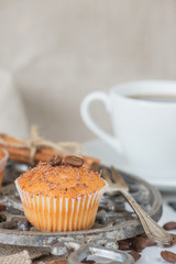 Cupcake with chocolate chips