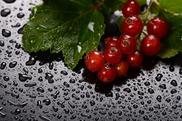 The red currant close up