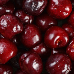 The cherry on branch close up