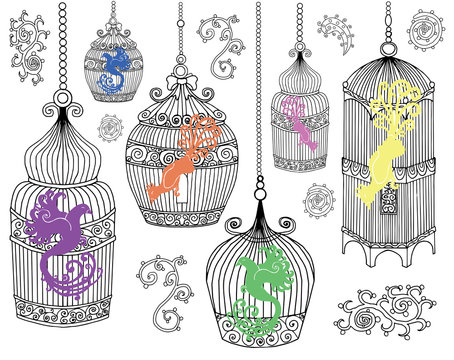 Design set with decorations and birds in cages
