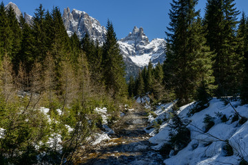 Panorama Dolomitico 1