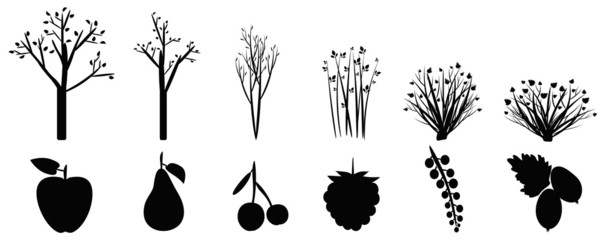 icons of garden trees, shrubs and fruit