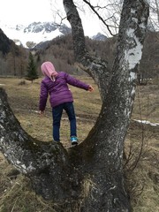 Obraz premium arrampicarsi sull albero bamibini