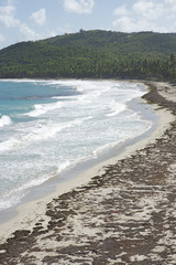Grande Anse Macabou Martinique Caribbean 04