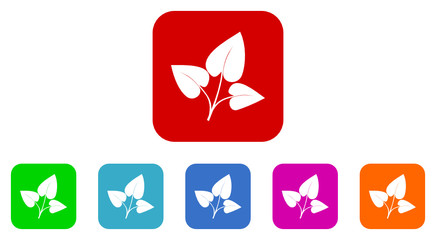 leaf vector icon set