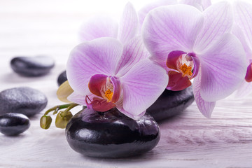 Fototapeta na wymiar massage stones with orchids