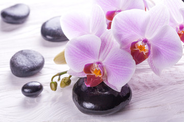 spa and bath with orchids