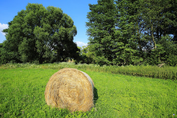 Hay bales in Czech countryside