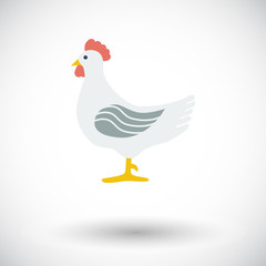 Chicken single icon.