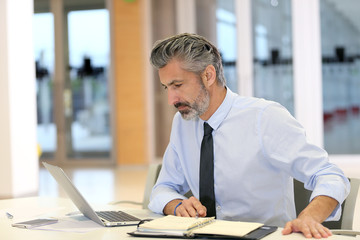 Portrait of mature businessman in office