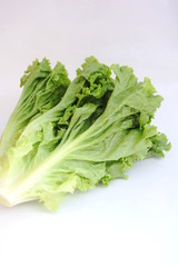 リーフレタス