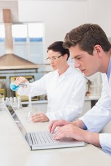Scientist working attentively with laptop