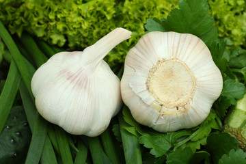 garlic and other green vegetables