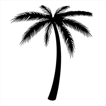 Palm tree silhouette outline vector motif