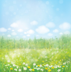 Vector spring blossoming meadow with forest background.