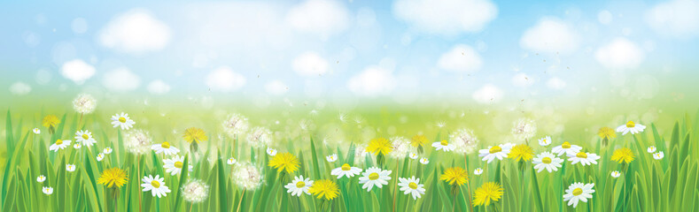 Vector nature  spring background.