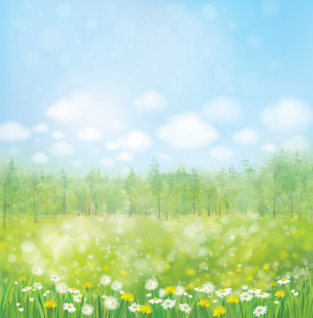 Vector spring blossoming meadow with forest background.