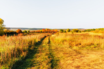 Wide meadow and rut