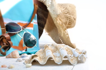 coquillages et accessoires de plage