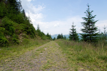 Fototapeta na wymiar Riesengebirge Wanderweg