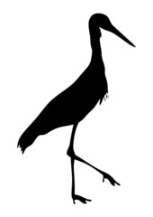 Storch Silhouette