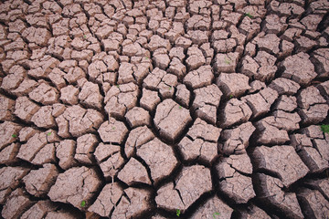 soil arid , season water shortage