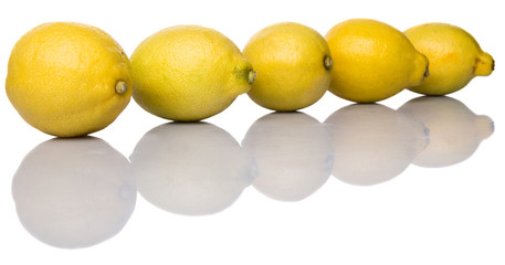 Lemon fruit over white background