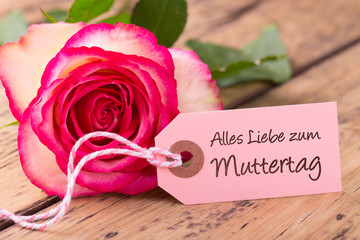 Rose zum Muttertag