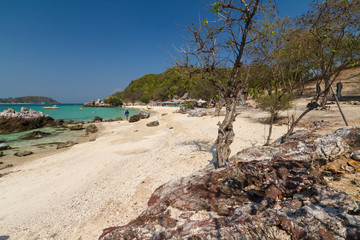 Koh Larn island tropical beach in Pattaya city, Chonburi Thailan