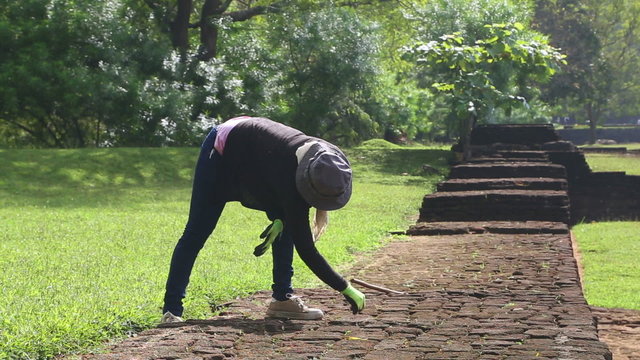 SIGIRIYA, SRI LANKA - FEBRUARY 2014: View of female gardener working in Sigiriya gardens, an ancient palace located in the central Matale District.