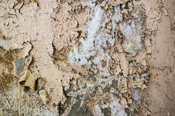 Naklejka premium Wand mit Salpeter 01