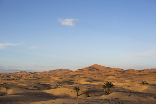 erg chebbi sand dunes © Dan Talson