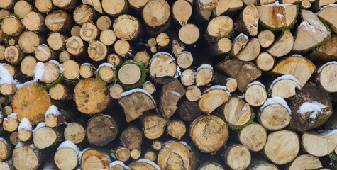 Woodpile from dry round fire wood in winter time