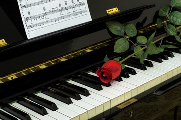 Musia e amore