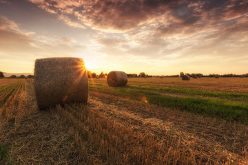 Sonnenuntergang auf dem Feld