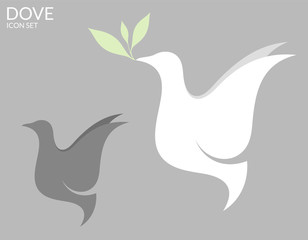 Dove