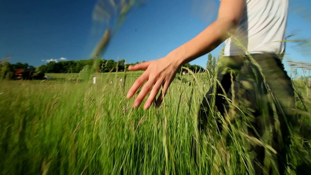 Woman's hand in field