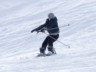 skier skiing