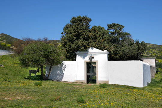 Cimitero con asinello