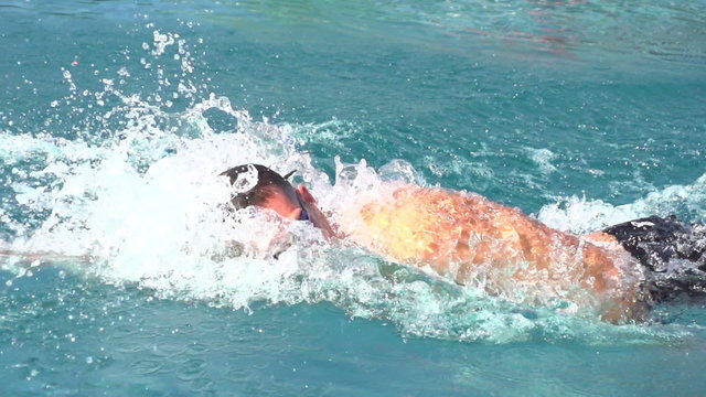 slow motion swimmer swimming front crawl