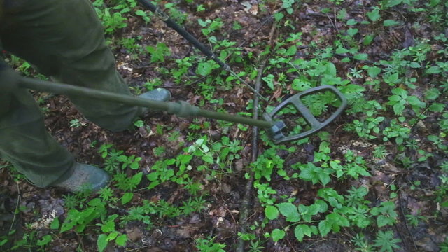 Man trying to detect mine in demining process in the middle of forest.