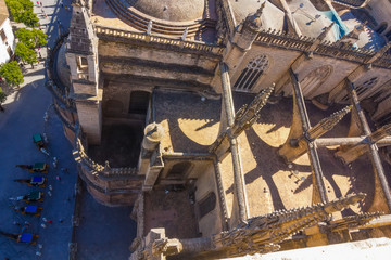 Cathedral of Santa Maria de Sevilla view from the Giralda in Sev