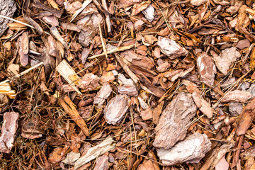 Shredded bark texture