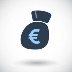 Euro flat icon.
