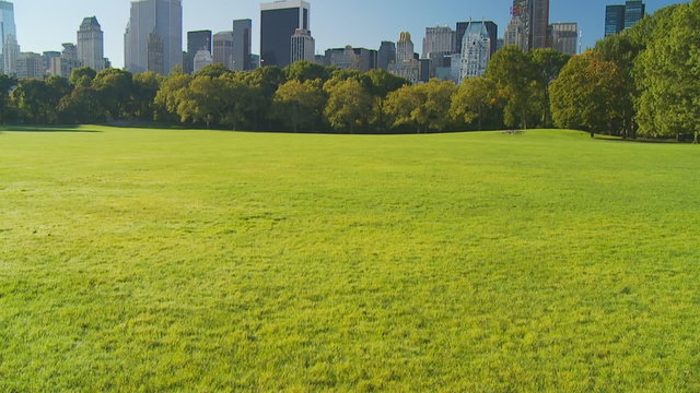 vertical pan shot central park
